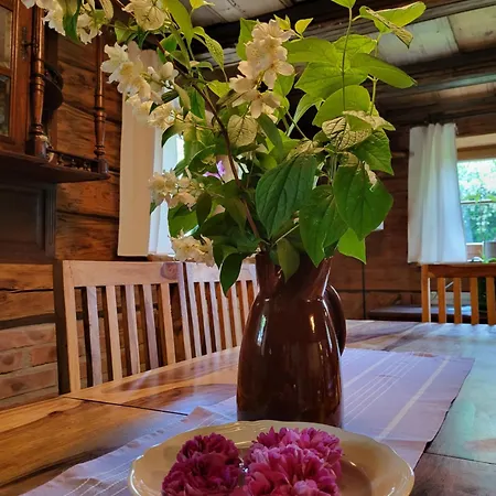 Gajowe Zacisze Bed and Breakfast