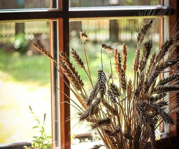 Gajowe Zacisze * Mirsk